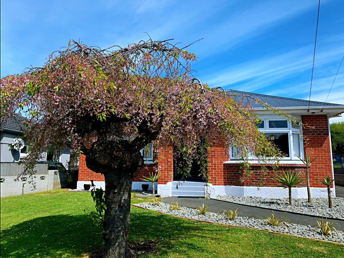 Andersons Bay Holiday House Villa Dunedin Luaran gambar