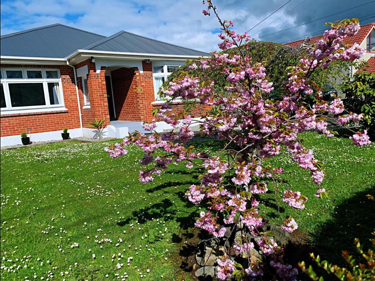 Andersons Bay Holiday House Villa Dunedin Luaran gambar